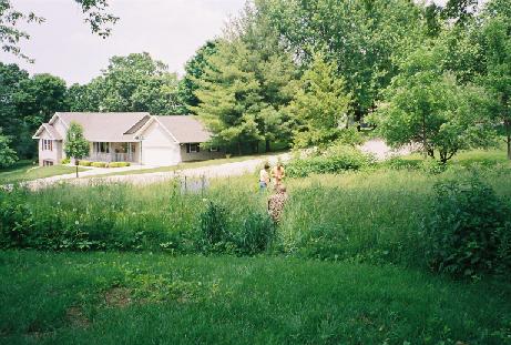 view of lot from upper southwest corner, down toward the northeast