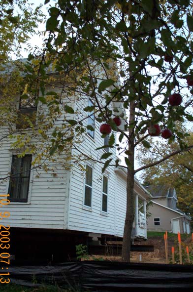 house viewed from under new neighbors' apple tree